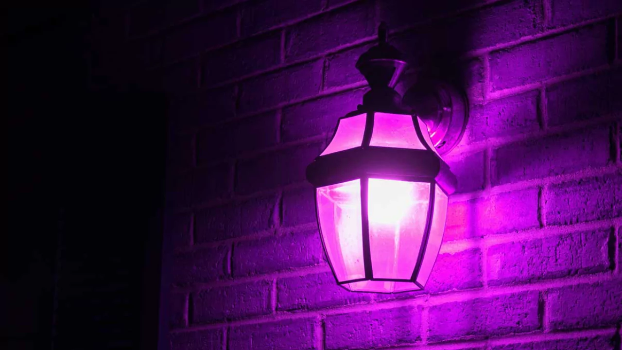 Porch Light Colors: What Do They Mean? 4 Porch light purple meaning