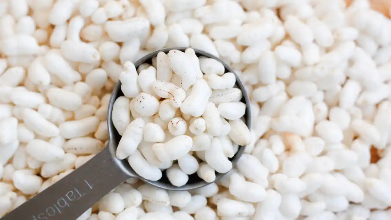 Can Wild Birds Eat Breakfast Cereal? (12 Cereals Covered) 5 Puffed rice 1
