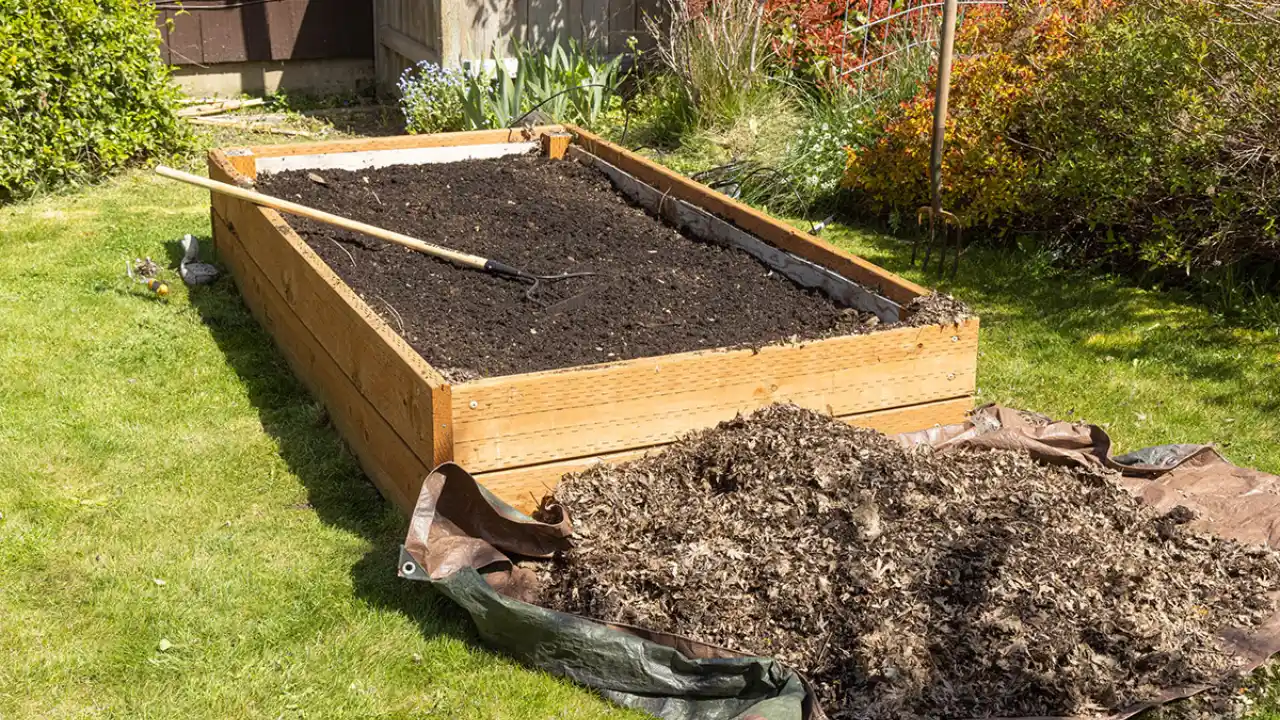 Best Wood For Raised Garden Beds 2 Raised garden bed improved soil
