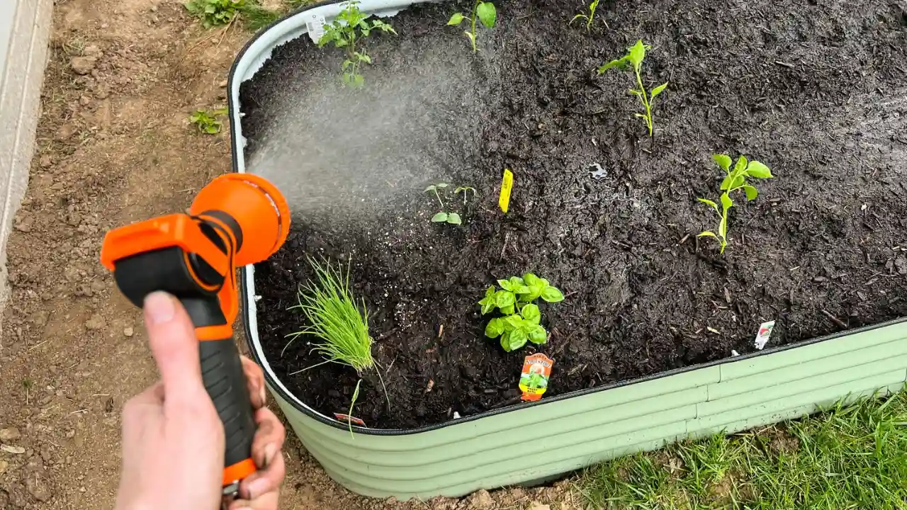Best Wood For Raised Garden Beds 5 Raised garden bed watering