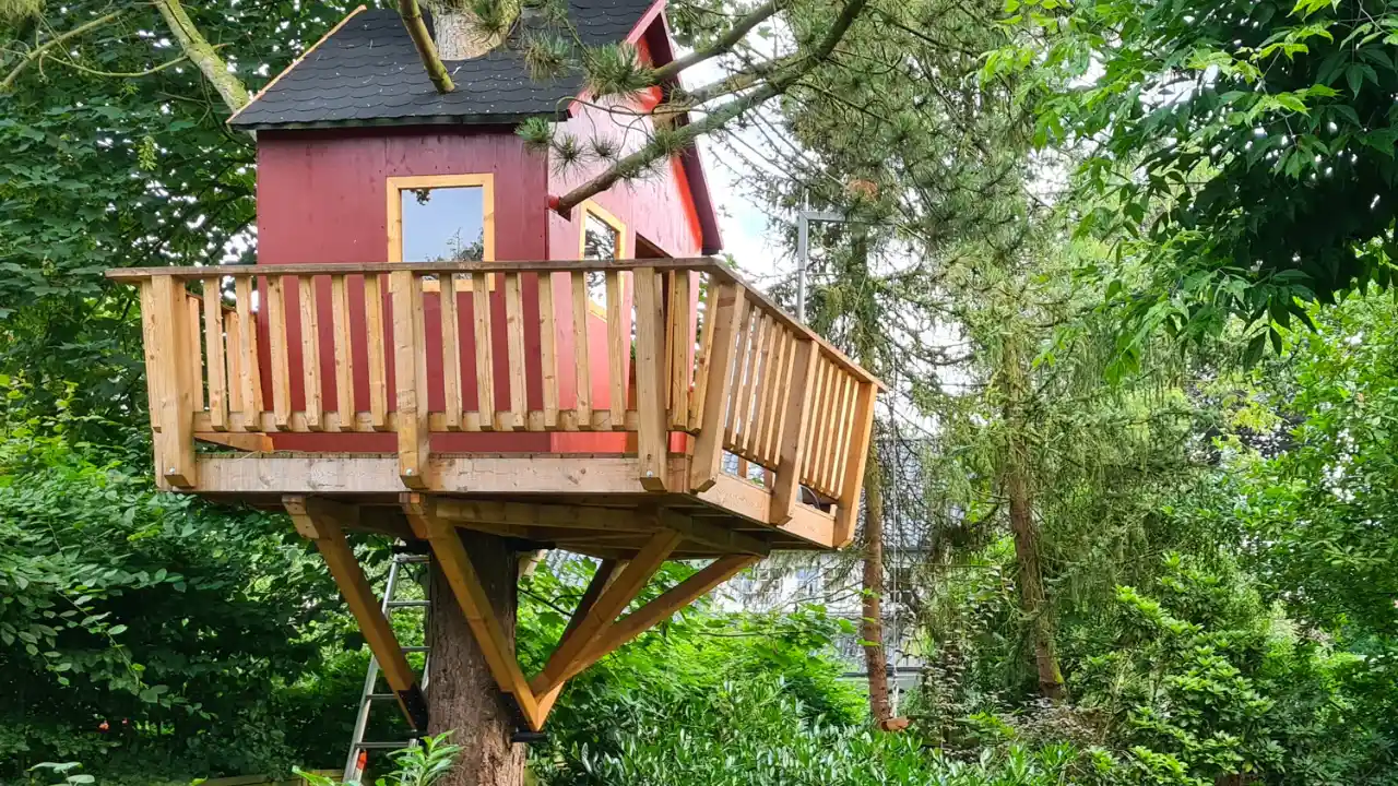 Treehouse Ideas and Designs You Can Build in Your Backyard 2 Simple Platform Treehouse