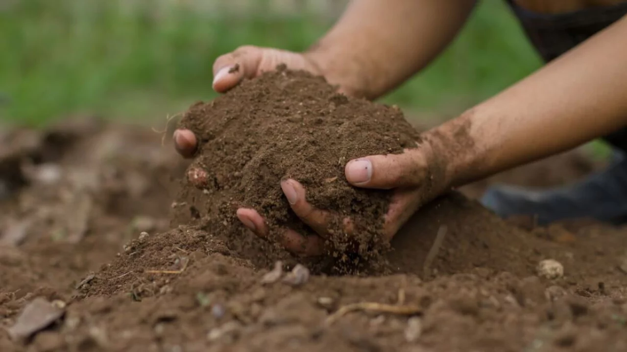 How Much Does a Cubic Yard of Topsoil Weigh? 2 Soil Type