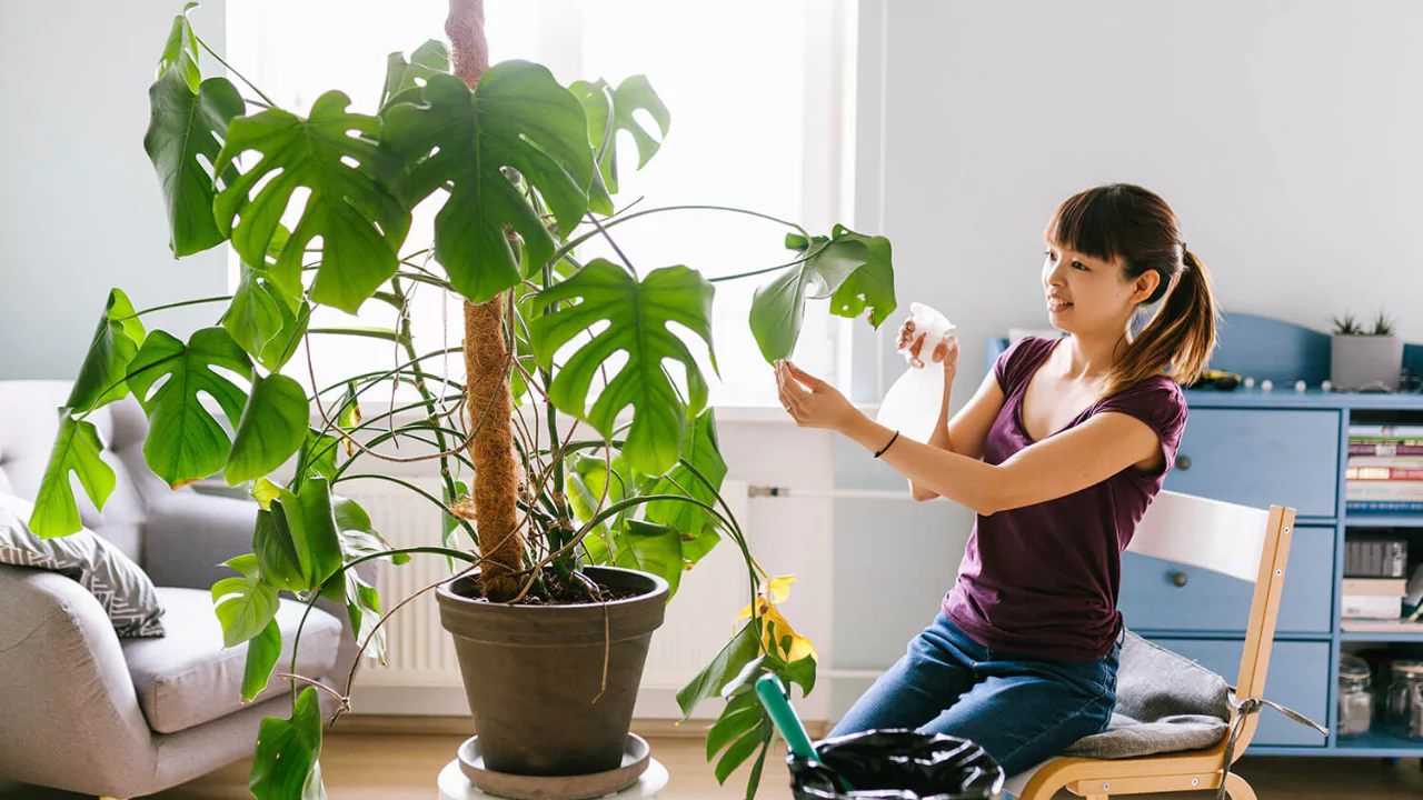 How to arrange potted plants on a patio 2 Some plants need more care than others 2