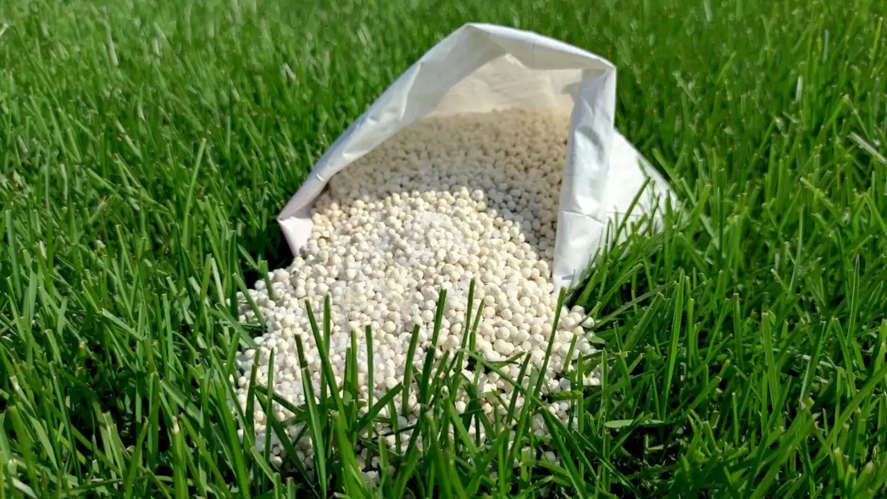 How To Store Fertilizer (Garden Fertilizer Storage Methods) 2 Storing fertilizer conditions