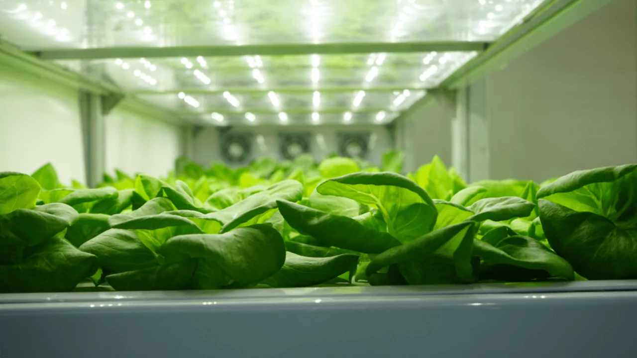 How to Calculate Hydroponic Nutrients Formula 1 Test Source Water