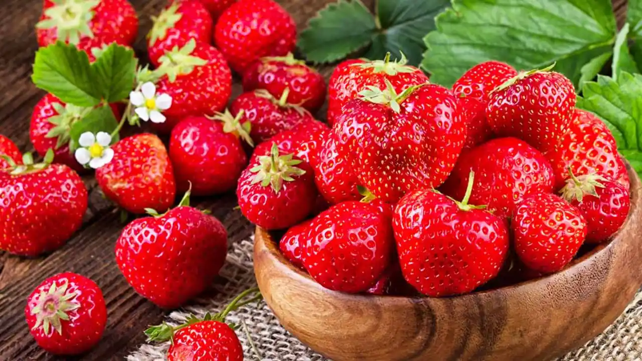 The best type of strawberry plant for growing in Ohio