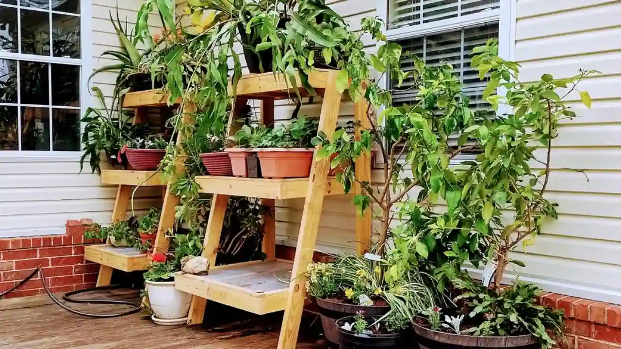 How to arrange potted plants on a patio 3 Tiered plant stands add more depth to a small patio