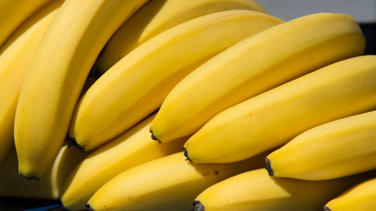 Types of Bananas