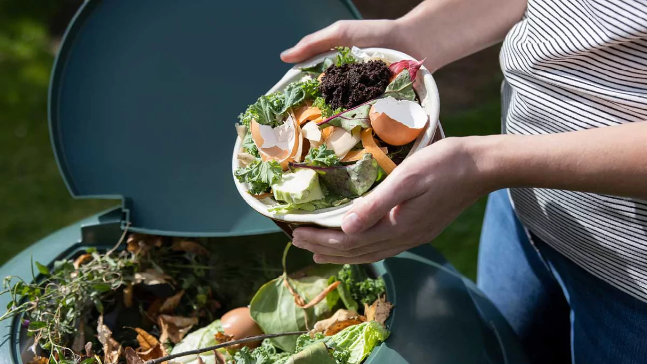 What Is Black Bag Composting? 2 Types of black bag composting
