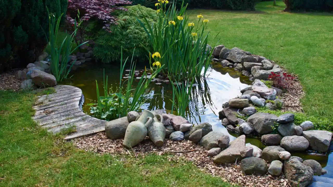 Pond Turn Over (All You Need To Know) 4 Use stones for edging