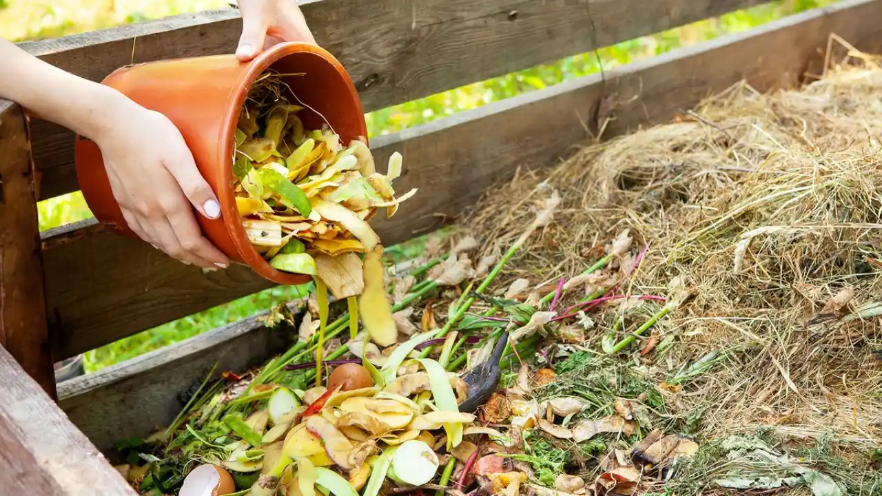 Using homemade compost accelerators