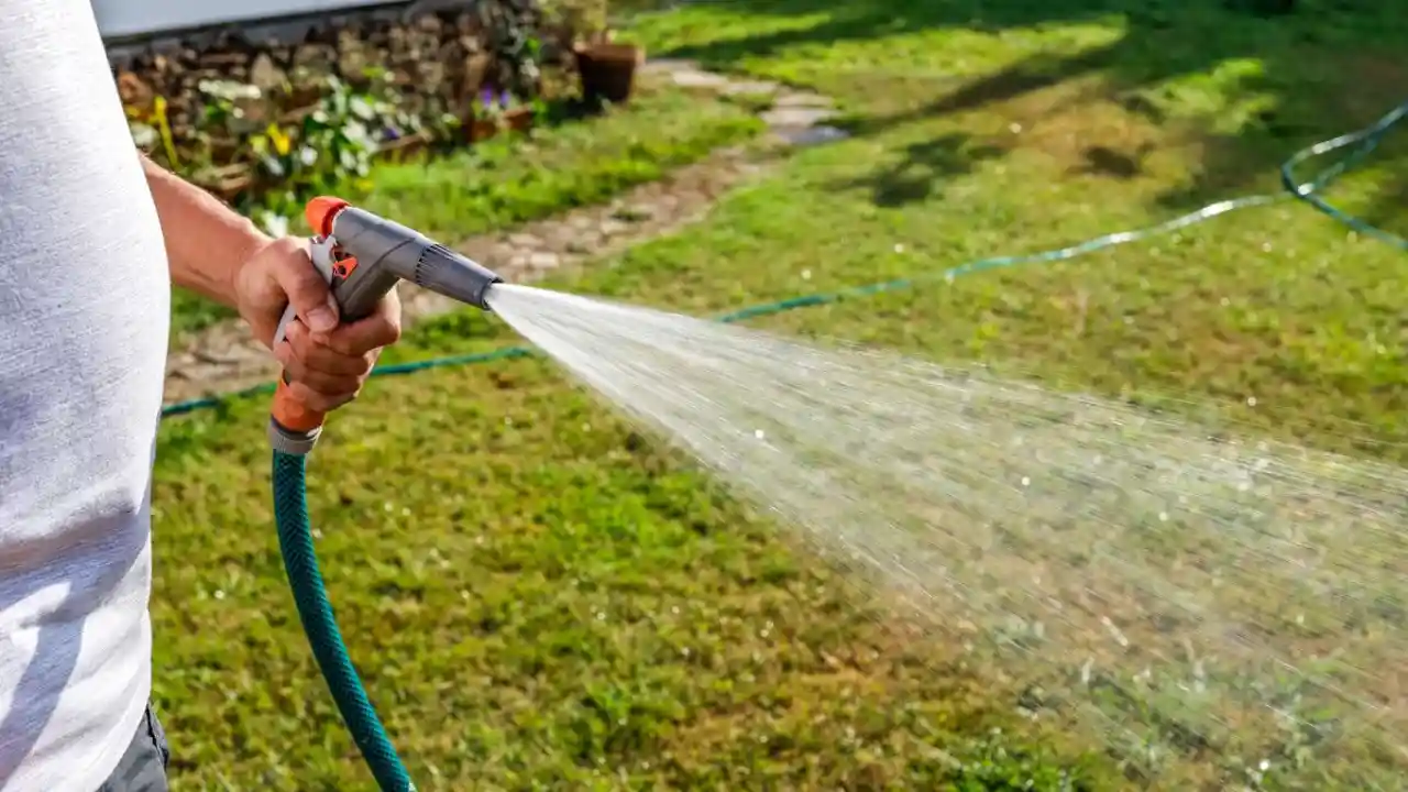 Watering grass seeds 1