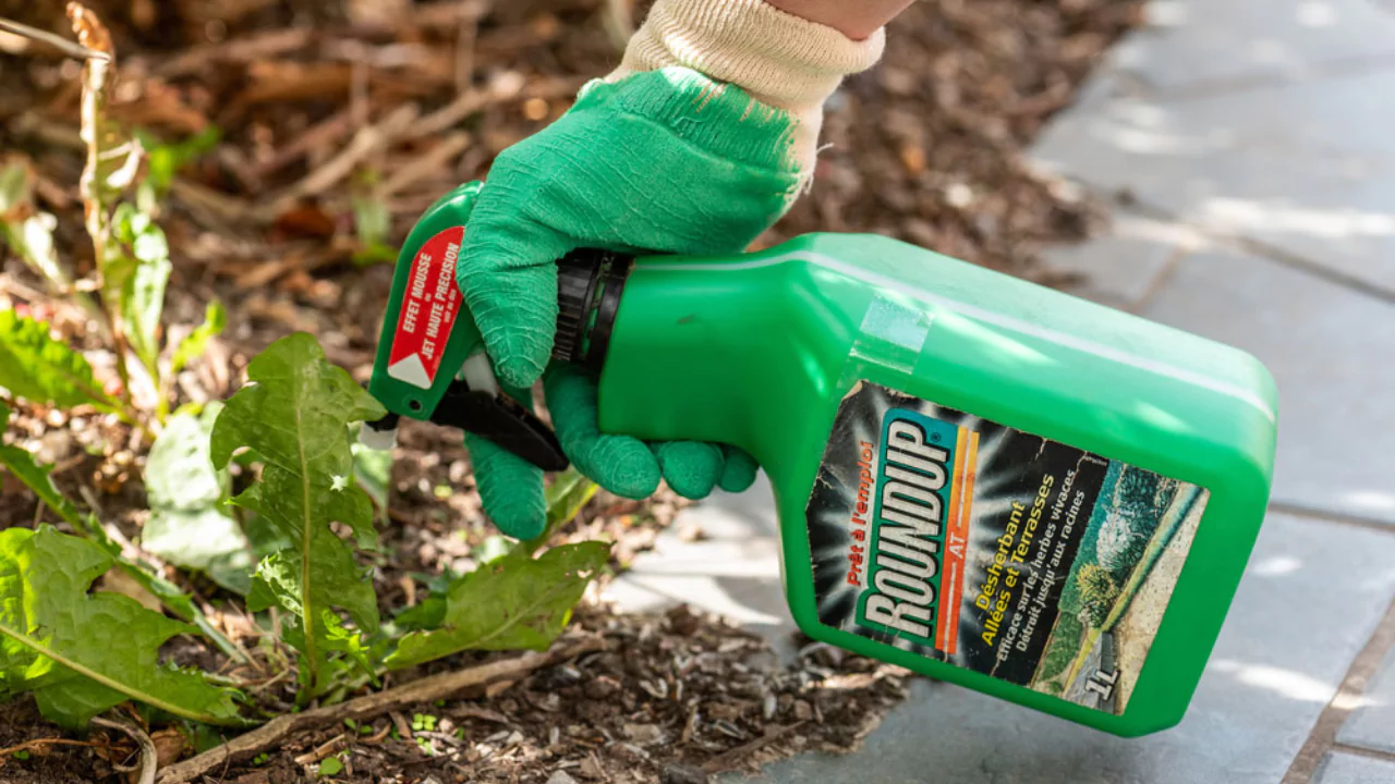 Is It Really Possible To Kill A Tree With Bleach? 3 Will bleach kill tree roots