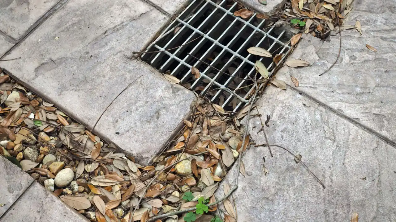Clever Ideas to Hide Drain Covers in Your Garden 1 backyard drain cover