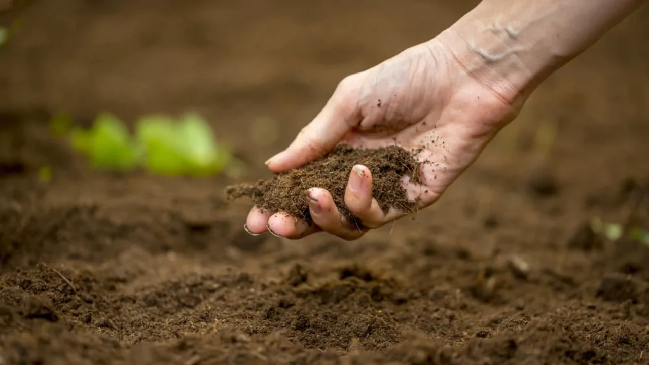 How Much Compost to Mix with Soil