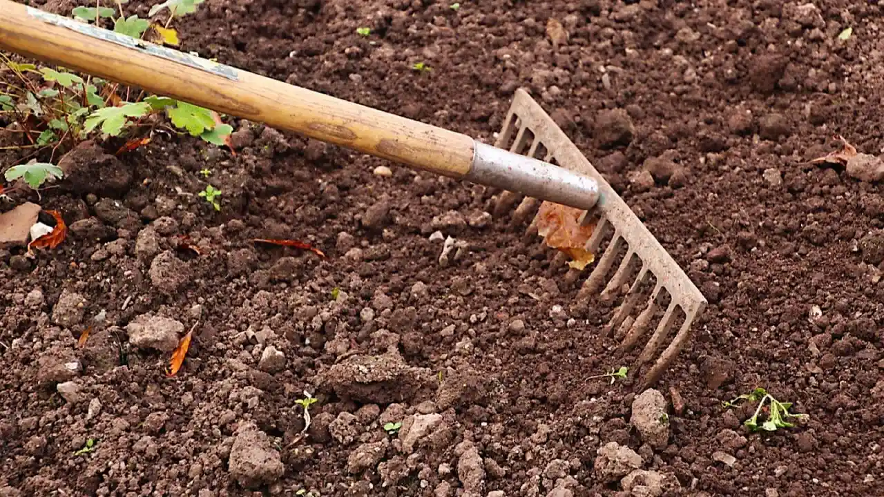 Can You Aerate your Lawn in a Winter Cold? 2 Aerate your soil