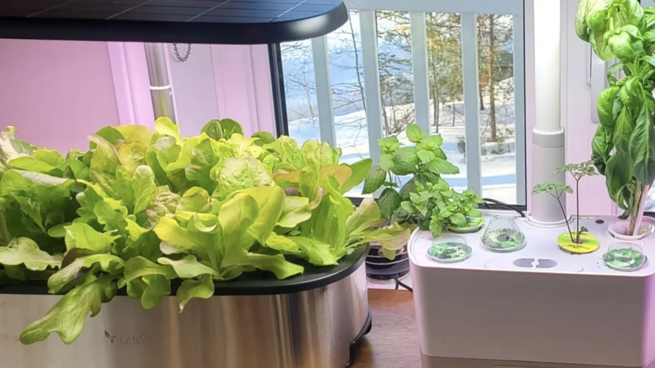 Aerogarden