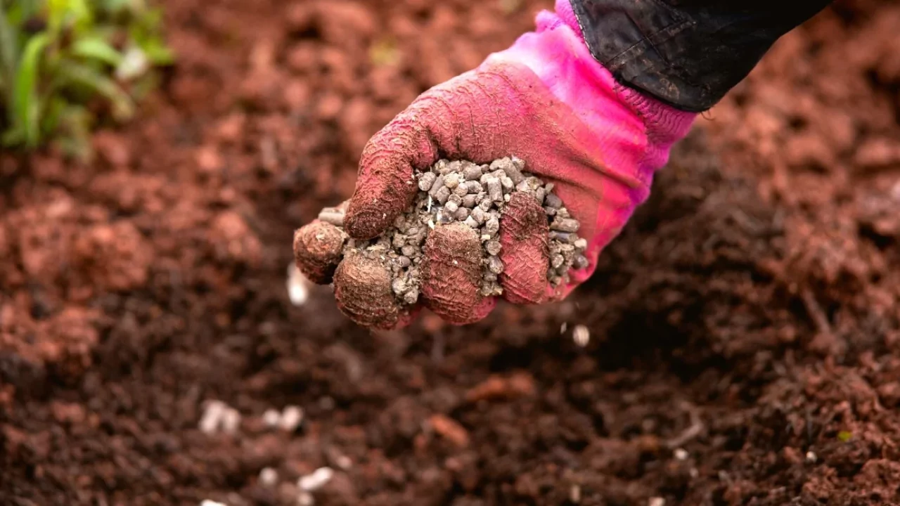 Avoid synthetic over fertilization