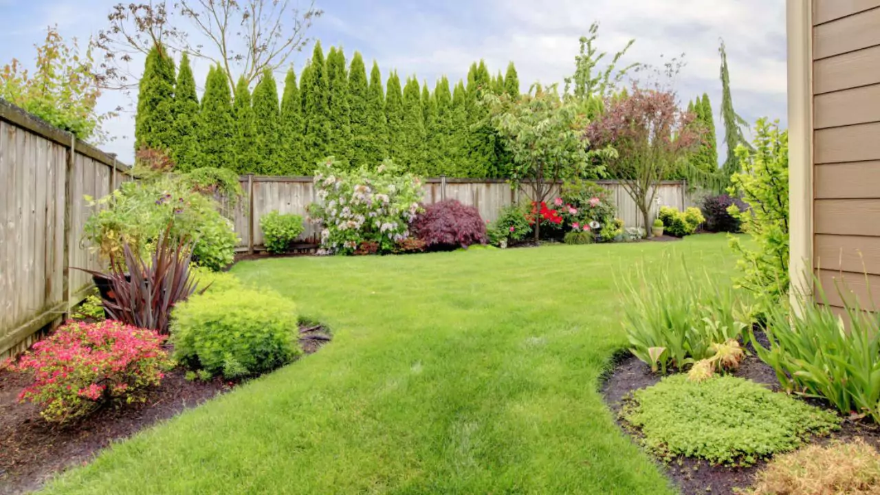 Backyard lawn