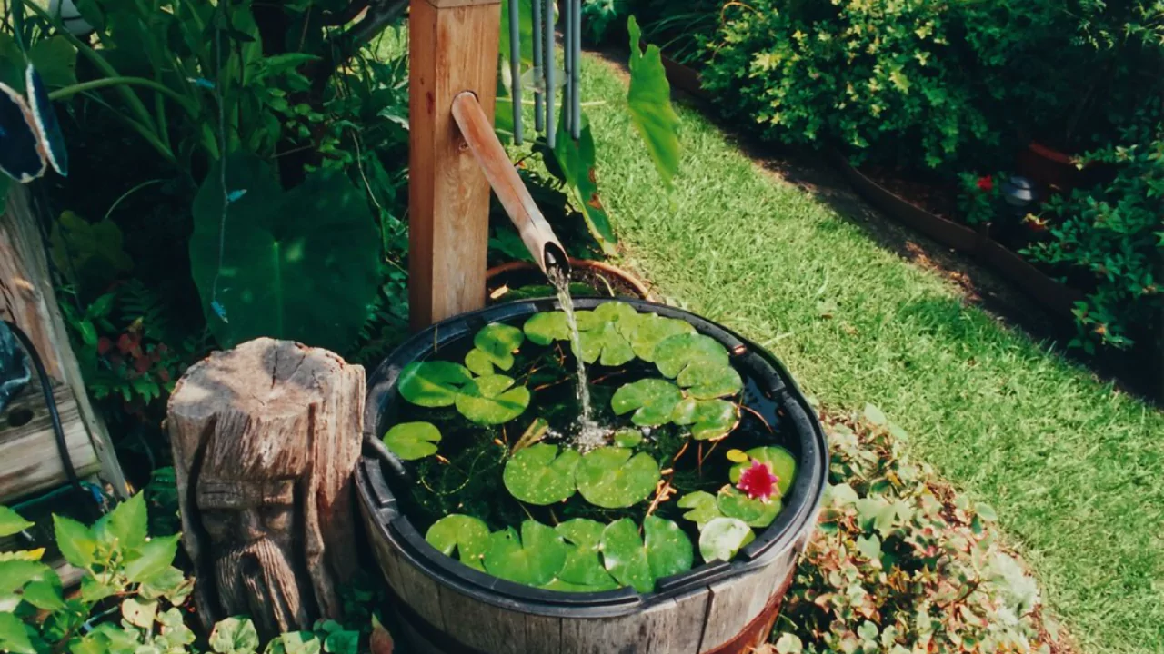 8 Amazing Ideas What to Replace a Pond With (Images) 7 Barrel pond
