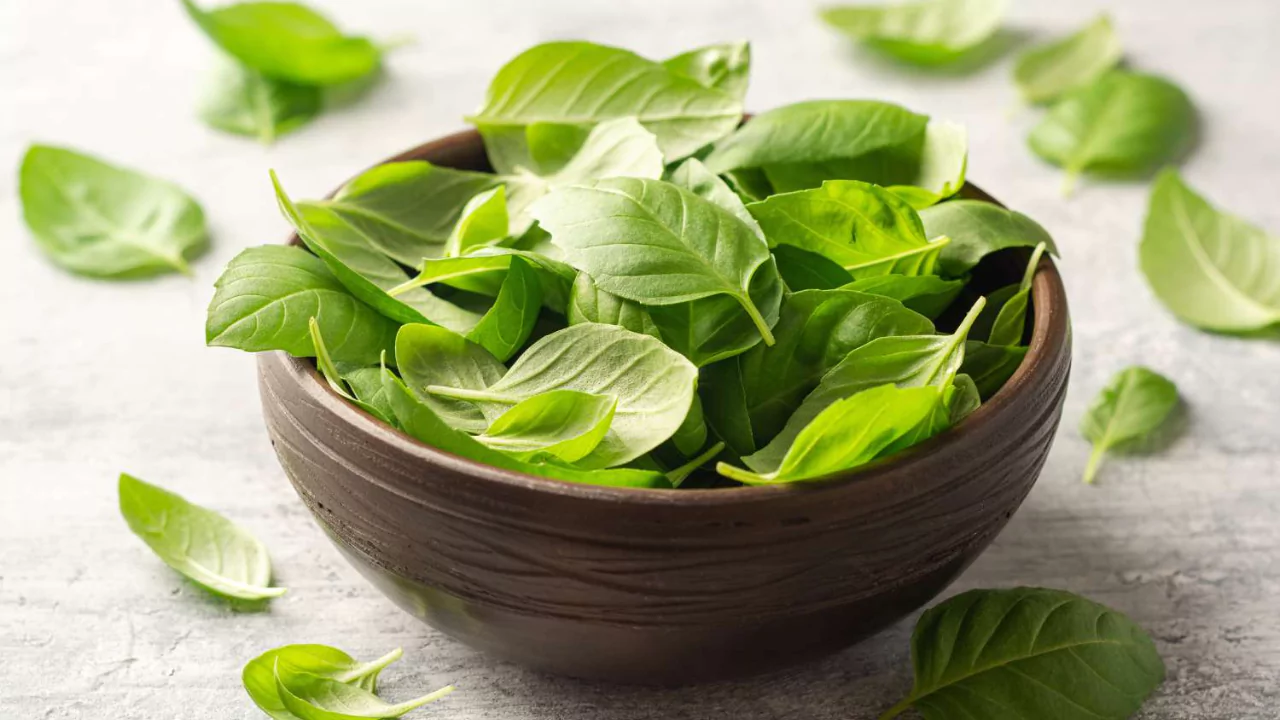 5 Microgreens That Regrow After Cutting 5 Basil