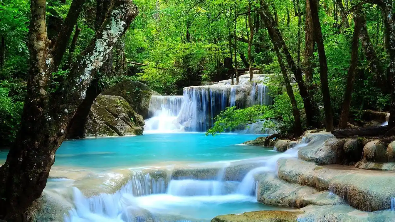 8 Amazing Ideas What to Replace a Pond With