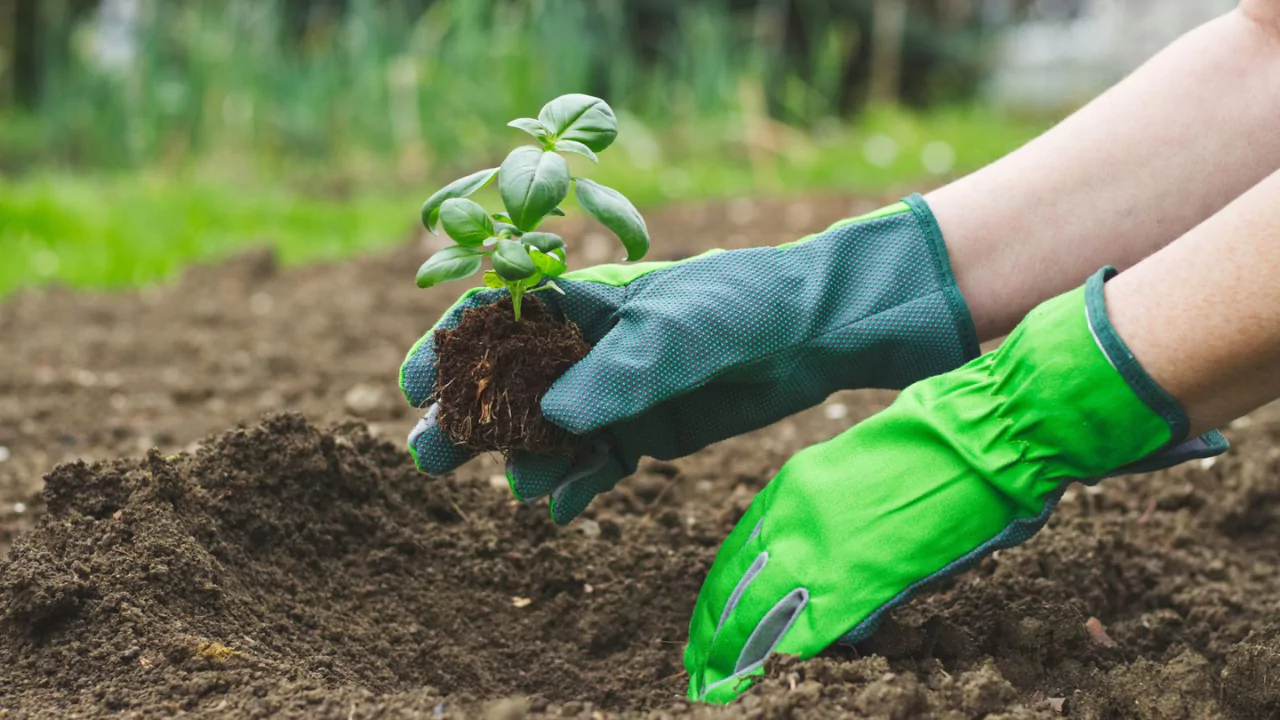 7 Best Garden Gloves For Thorns