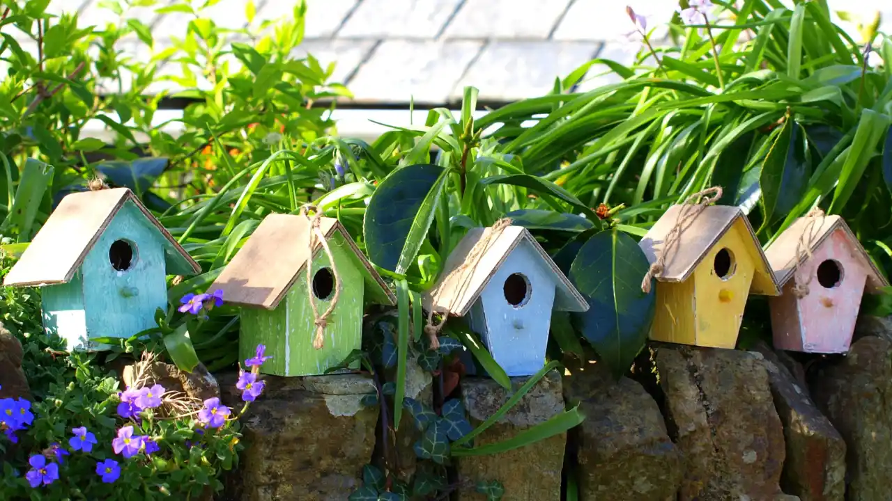 Complete Guide to Garden Bird Nest Box Size and Dimensions