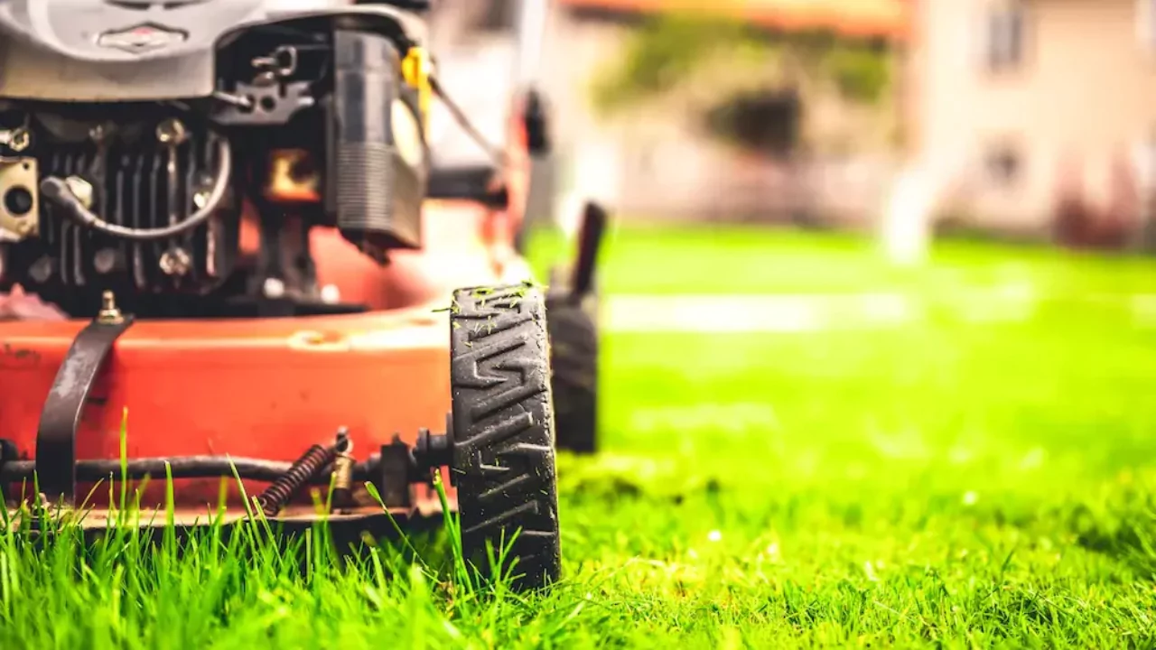 Catchy lawn care business name