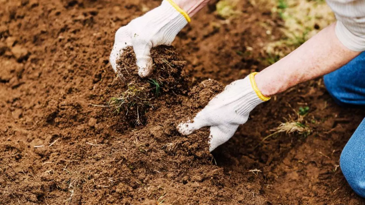 How to Improve Grass on Clay Soil in 4 Easy Ways 1 Clay soil