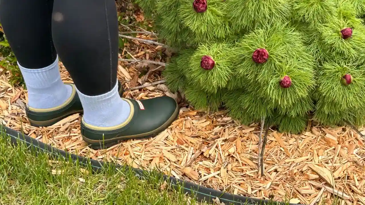 Best Garden Clogs For Women