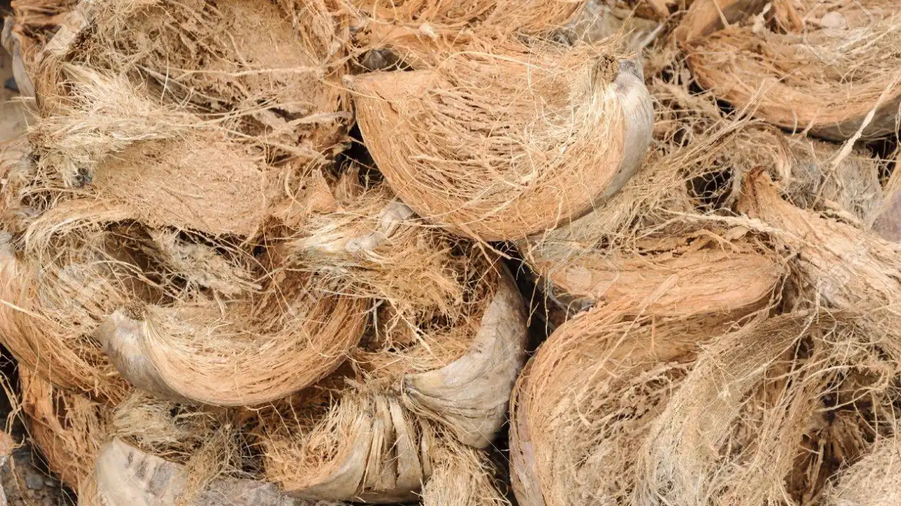 Coco Fiber 1