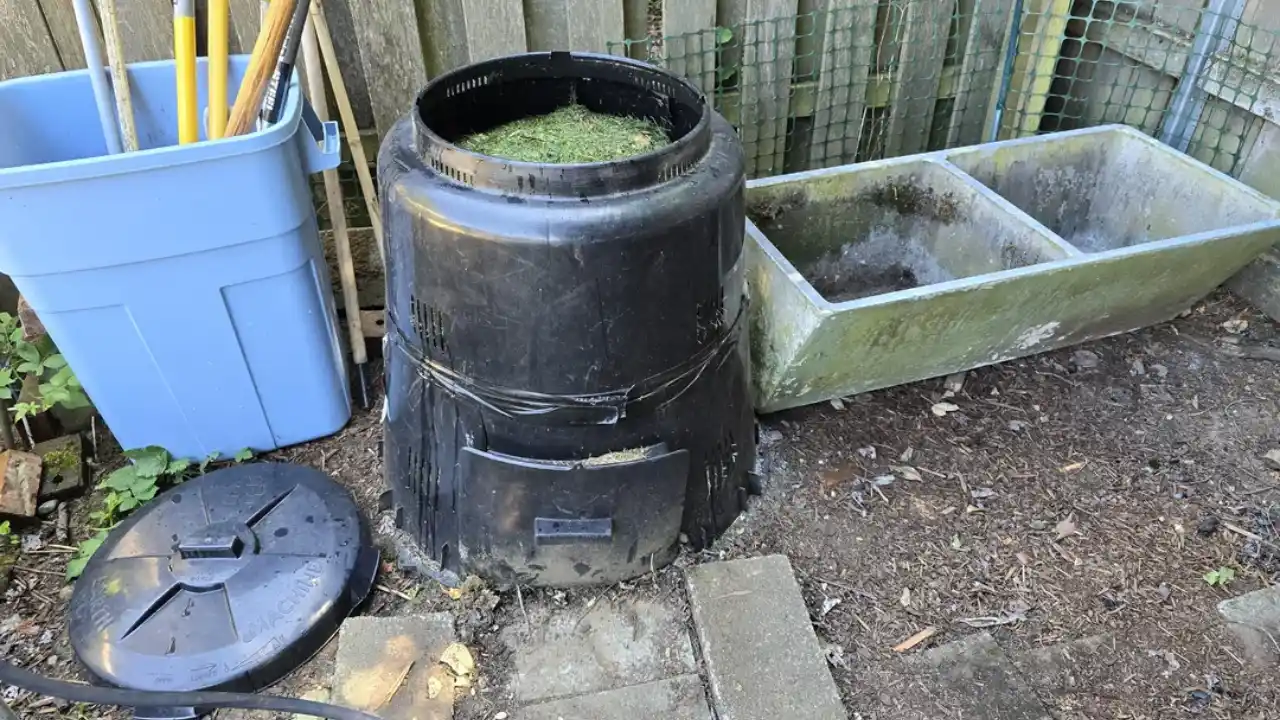 Compost bins flies problem 1