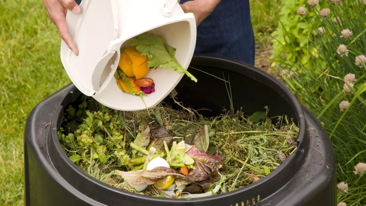 How To Get Rid Of Flies In Compost Bins