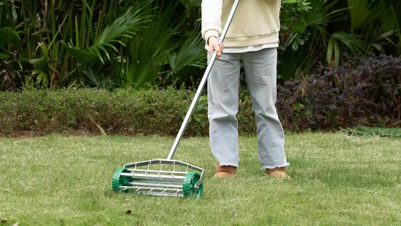 How to Improve Grass on Clay Soil in 4 Easy Ways