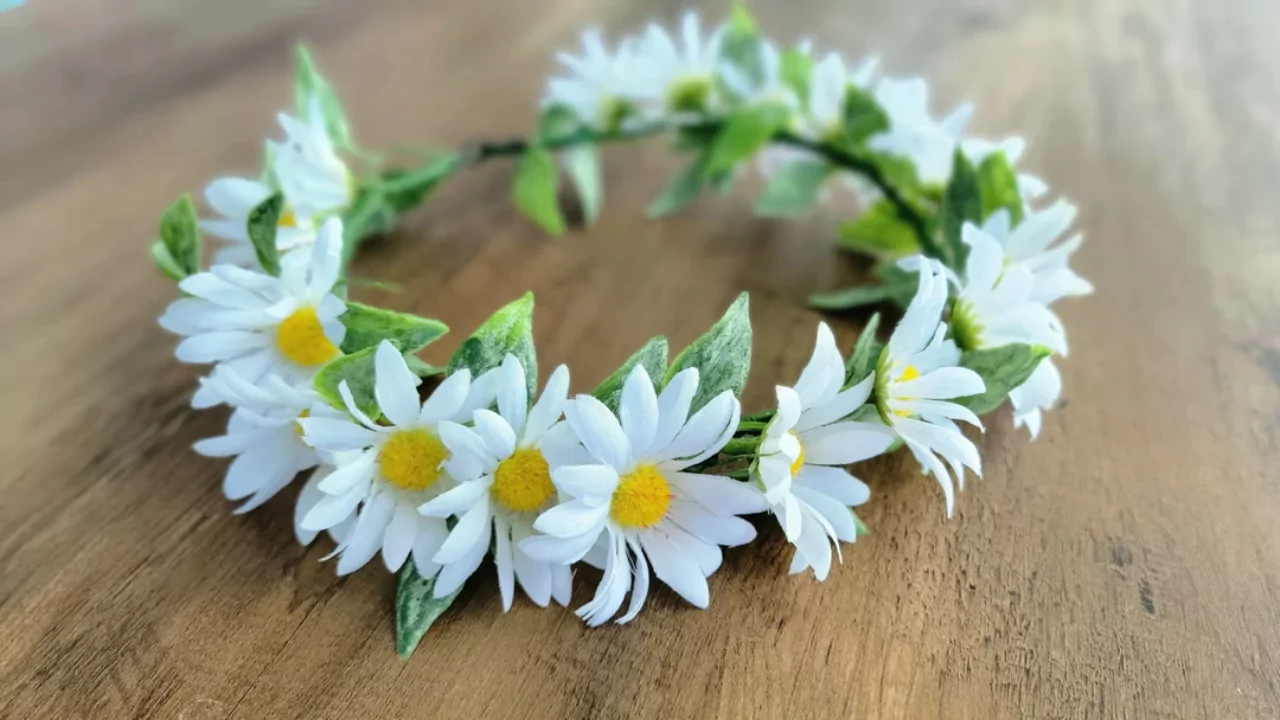 Crown Daisy