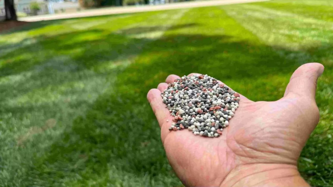 Fertilizers Essential