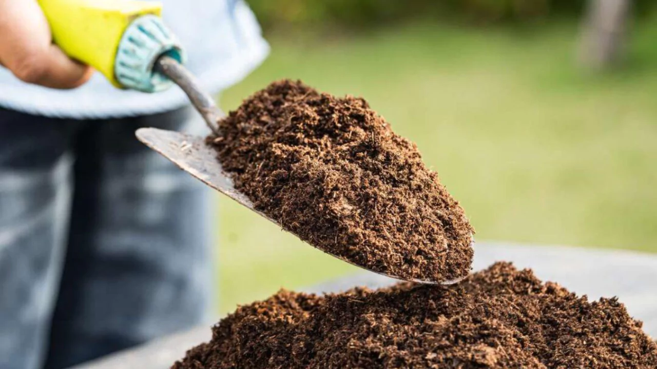 Find high quality topsoil