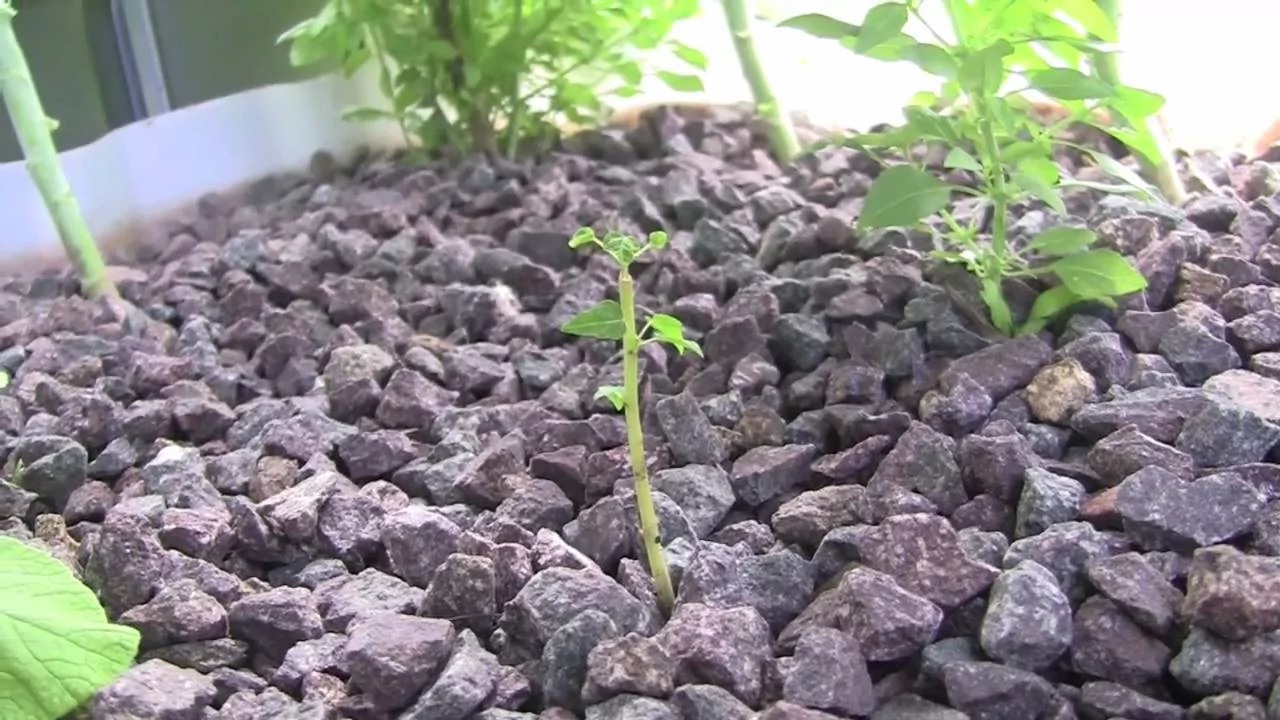 Grow bed materials