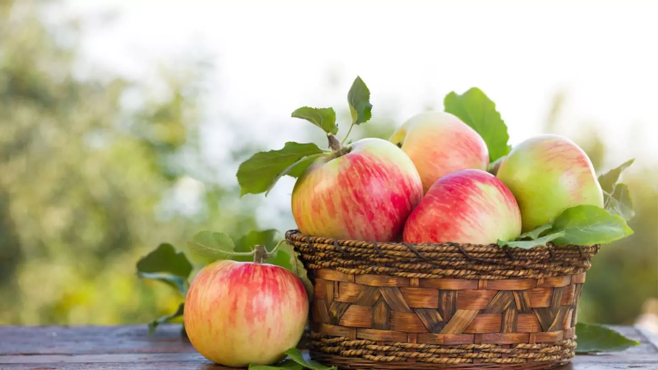 Healthy apples 2