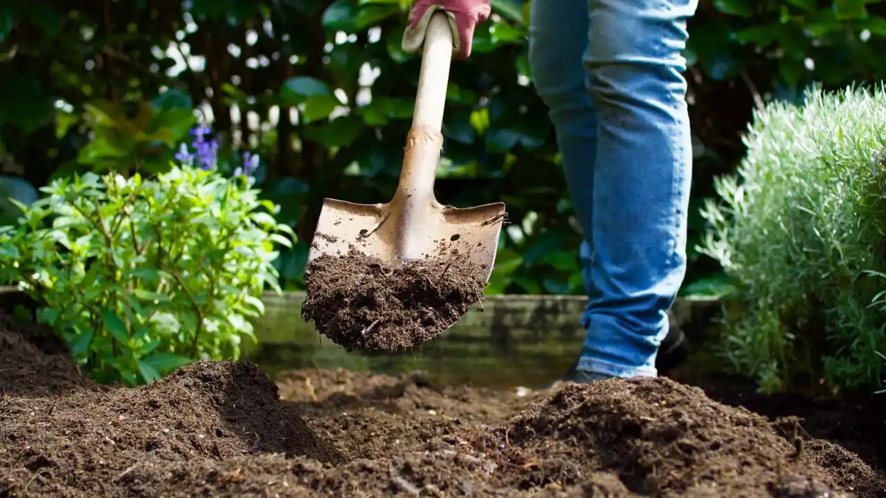 Heathly soil