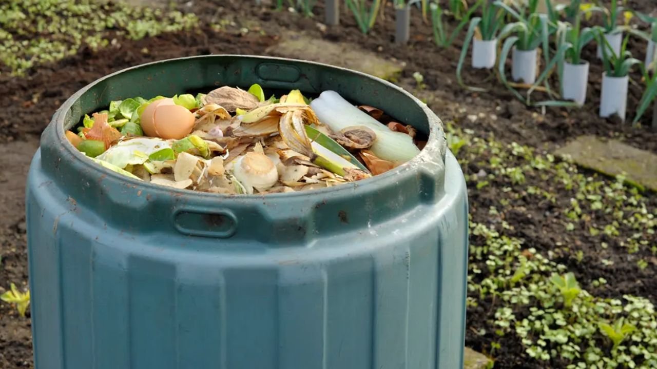 How to Make Homemade Compost Catalyst