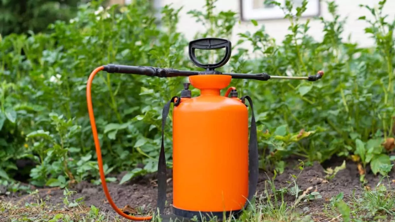 4 Best Garden Pump Sprayers 1 How do garden pump sprayers work