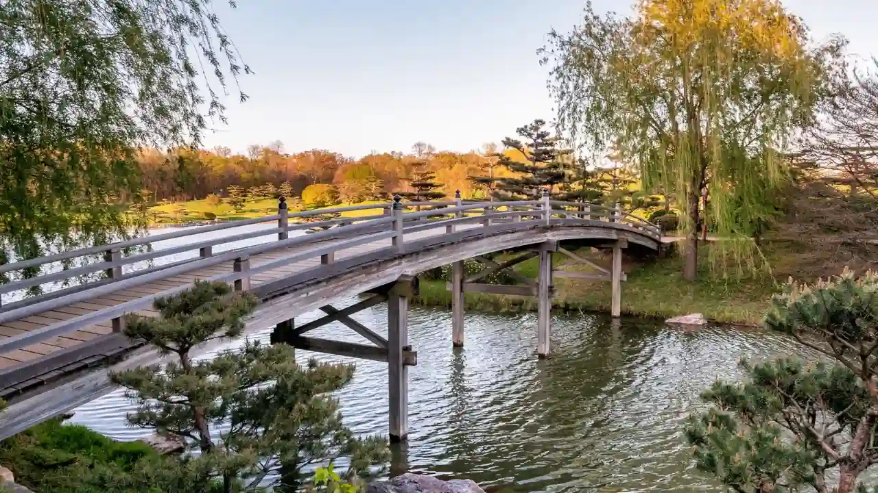 Japanese garden bridge shape