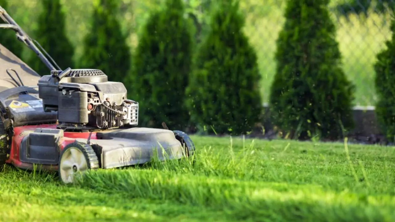 Best Lawn Care Service Near Me (USA Edition) 1 Lawn care business