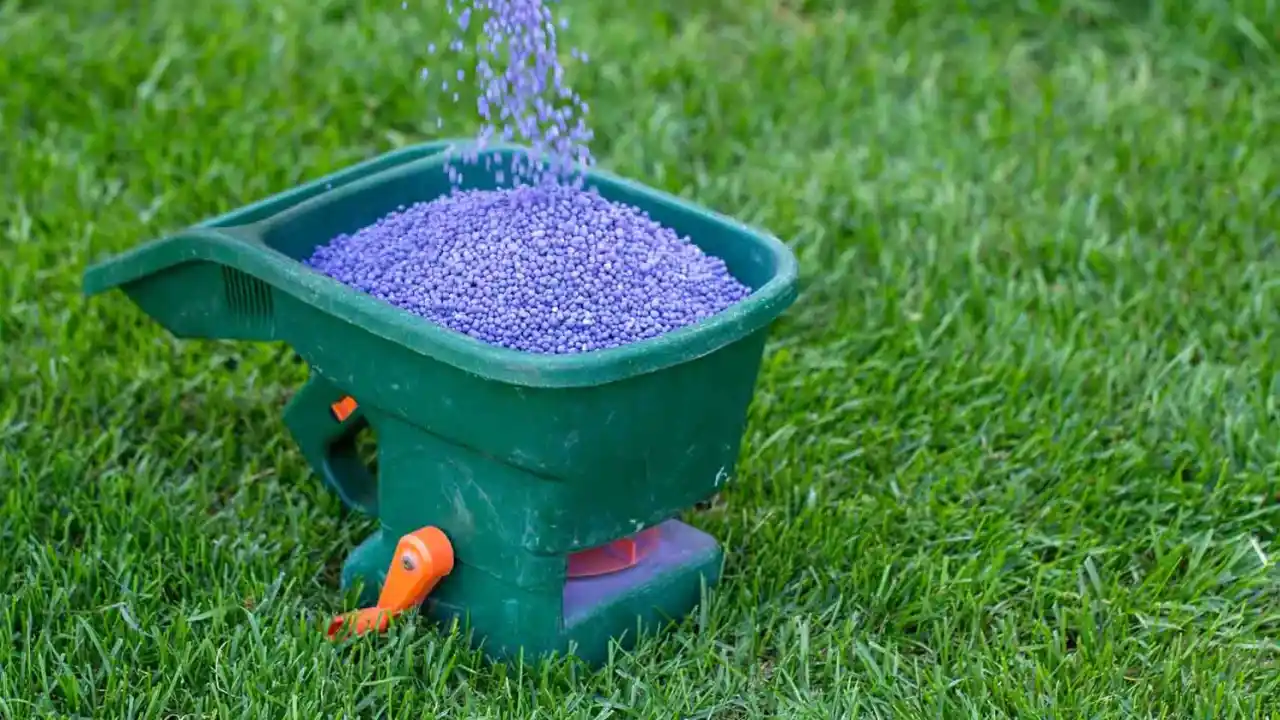 How Long Does Granular Fertilizer Last? 2 Lawn fertilizer