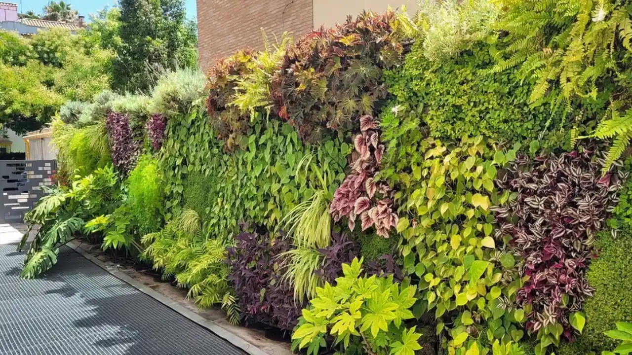 25 Garden Wall Ideas That You’ll Love 3 Living garden wall