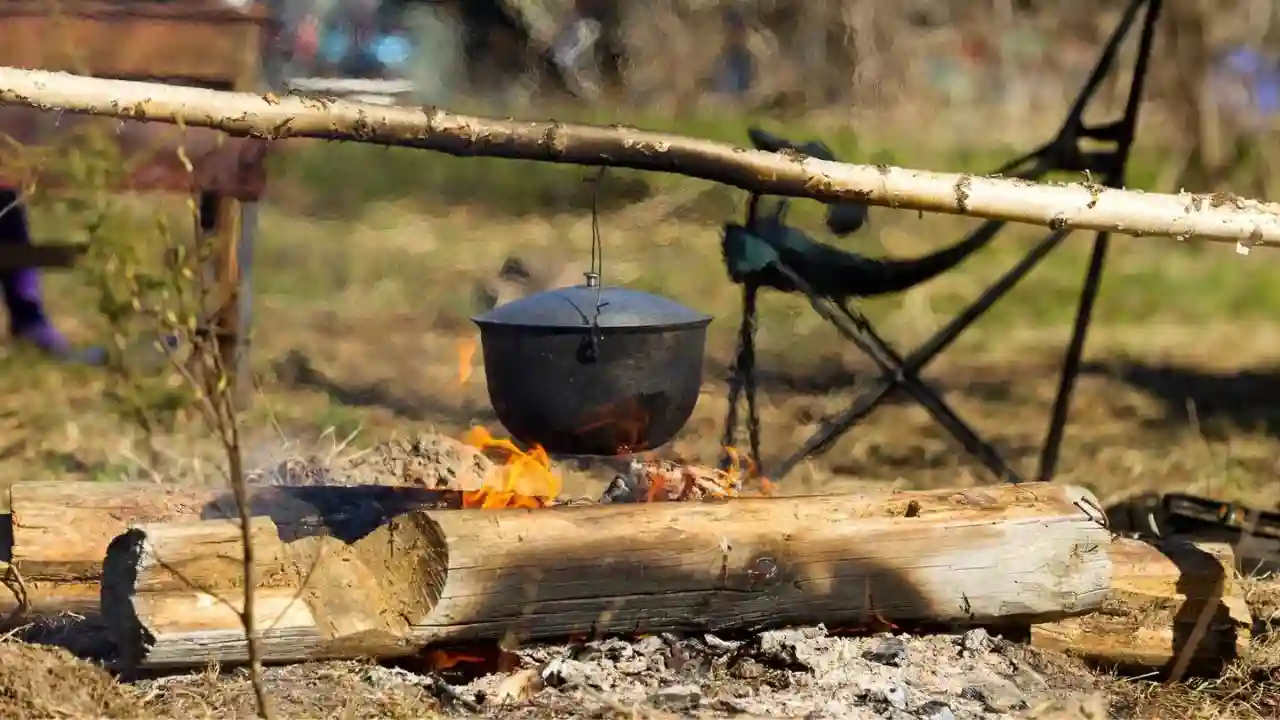 Is Aspen the Best Type of Wood for Making Campfires