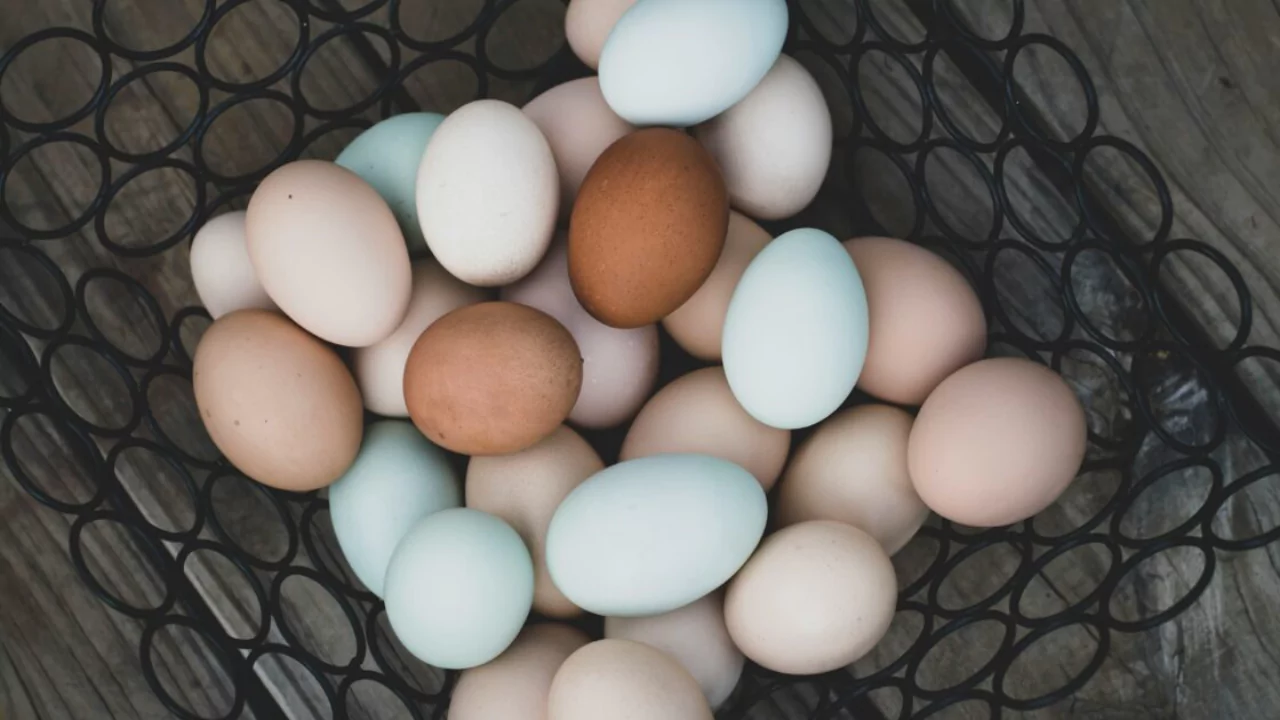 Which Chickens Lay Colored Eggs? 1 Natural colored eggs