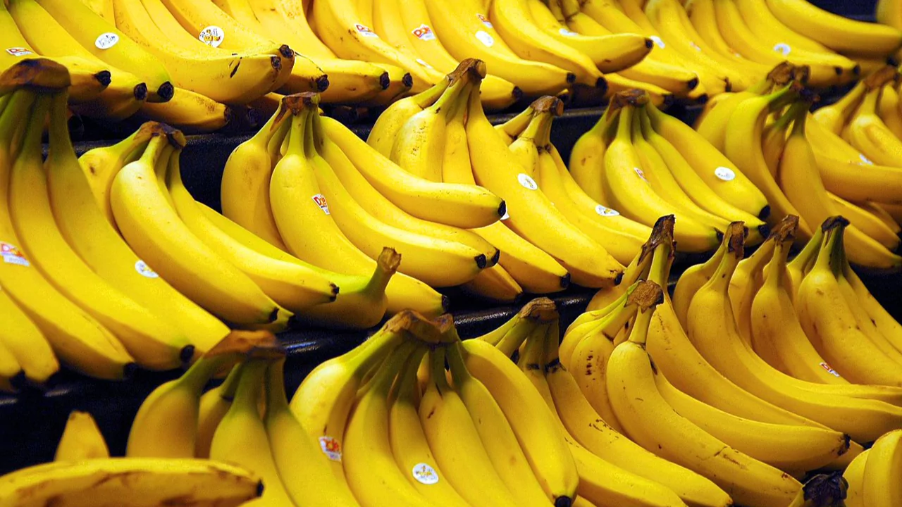 Why Do Organic Bananas Last Longer? 2 Organic banana ripe 1